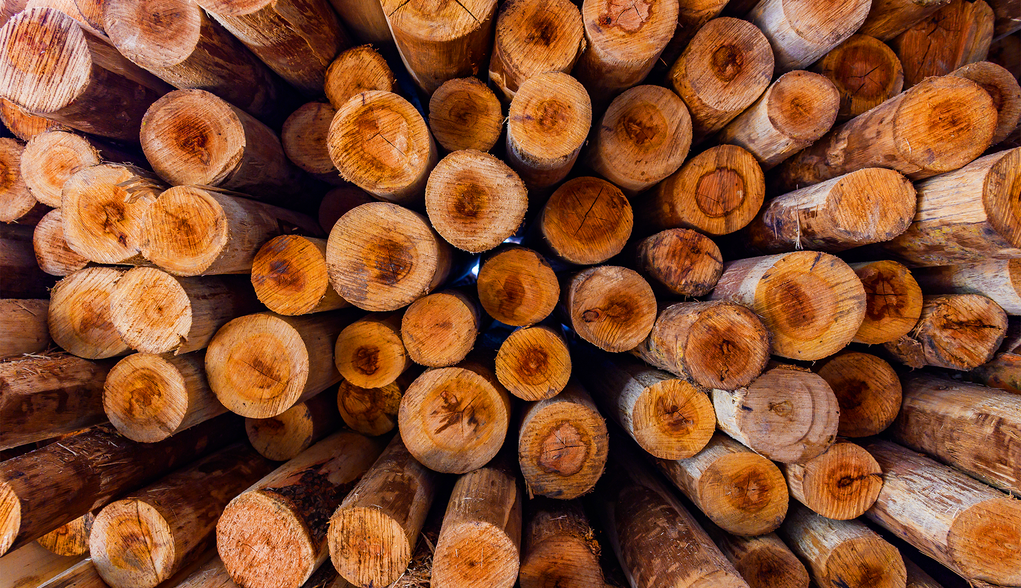 Timber Selection