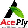 FINAL LOGO ACE 1